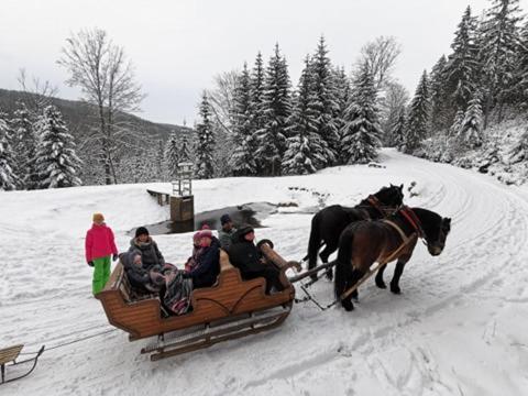 Świeradów-ZdrójStrefa Ciszy -Lawendaアパートメント エクステリア 写真